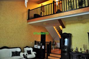 Execut amenajari restaurante cluburi cafenele pensiuni hoteluri