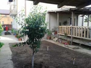 Inchiriez in GHENCEA STATIE GHIDICENI camere in vi...