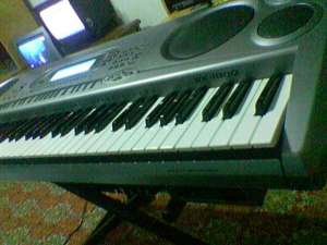 VAND ORGA CASIO WK 1800(discheta )