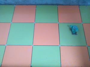 renovari apartamente si case