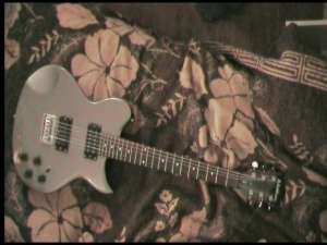 Vand chitara Washburn Wi14