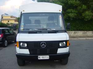 mercedes benz 308D