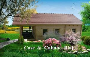 Case din lemn,    Case de vacanta - Casa Vatra Dornei