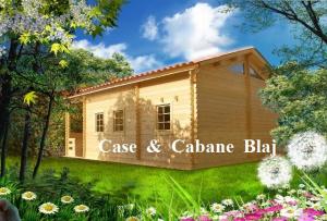 Case din lemn,    Case de vacanta - Casa Vatra Dornei