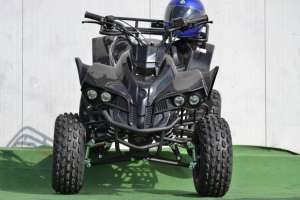 ATV RENEGADE 125 CC,  LIVRARE RAPIDA 24 H