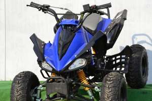 ATV RAPTOR 125 CMC, 