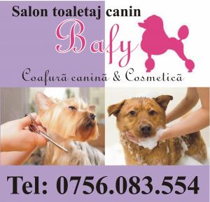 Coafor canin Bafy - Micalaca