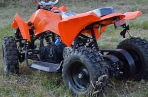 ATV ECO-Raptor 350W