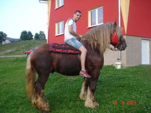 VAND ARMASAR ARDENEZ
