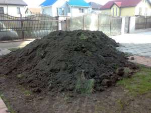 Pamant negru de padure