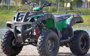 ATV MEGA GRIZZLY 250 CMC, 
