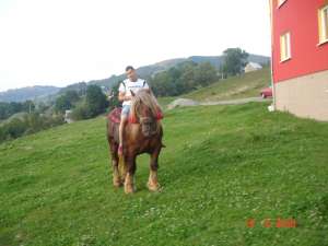 VAND ARMASAR ARDENEZ