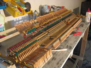 Reconditionare, Acordare, Consultare PIANINE