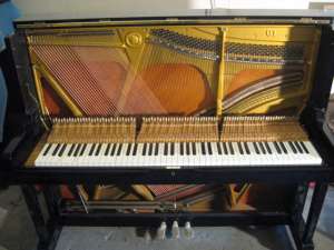 Reconditionare, Acordare, Consultare PIANINE