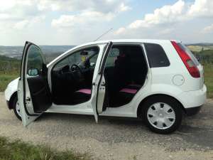 Vand Ford Fiesta