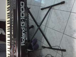 orga  g  1000