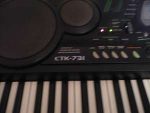 Vand Orga Casio Ctk-731