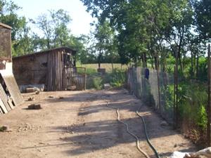 vand casa in iojib