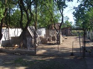 vand casa in iojib