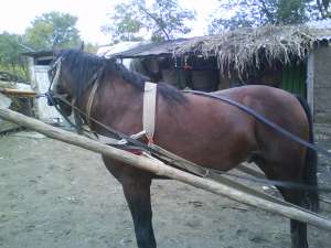 >>Vand, 