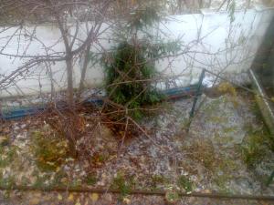 APARTAMENT 3 CAMERE UN VILA MOLL VITAN
