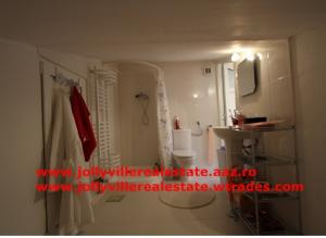 Stefan cel Mare - inchiriere garsoniera in vila