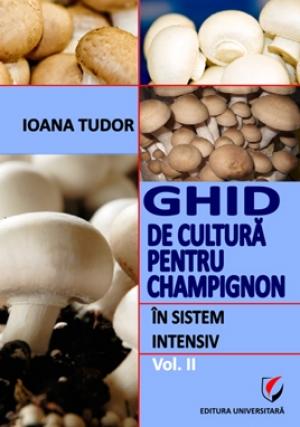 Infiintare ciupercarie