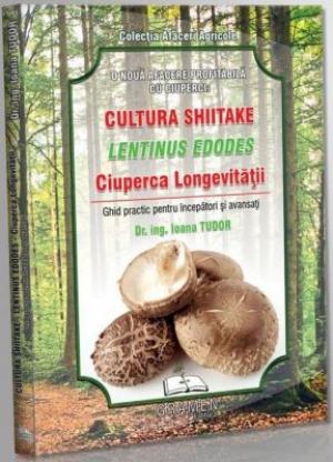 Infiintare ciupercarie