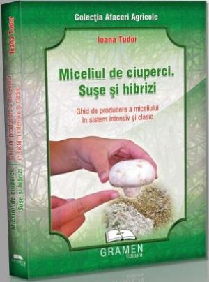 Infiintare ciupercarie