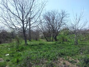 Vand Apartament 2 camere,  Romancierilor
