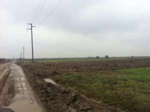 teren agricol 1074 ha,  in Ghimpati, jud Giurgiu