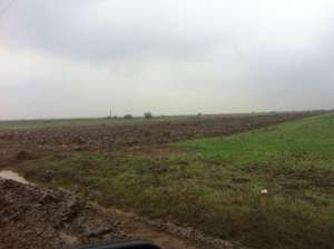 teren agricol 1074 ha,  in Ghimpati, jud Giurgiu