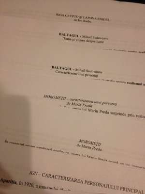 Comentarii romana bac