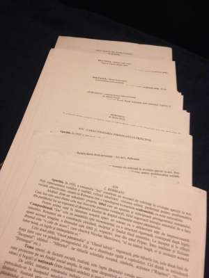 Comentarii romana bac