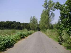 Snagov-scrovistea teren intravilan
