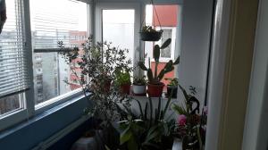 Apartament 3 camere cu centrala proprie