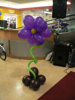 Decor majorat
