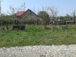 Teren 500 MP Intravilan