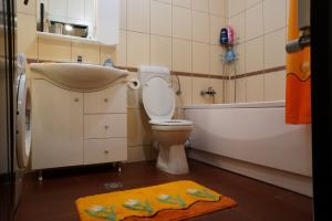 REGIM HOTELIER DE LUX IN ARAD - APARTAMENT