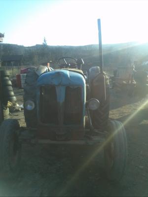 Tractor Ebro 55
