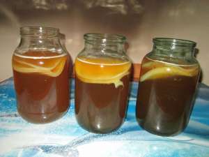 Kombucha