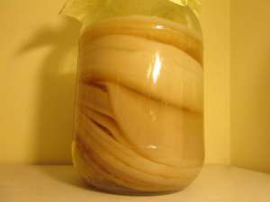 Kombucha