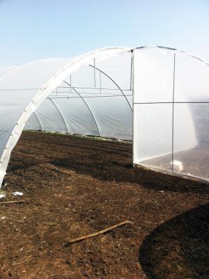 Solarii profesionale cu ventilatie pe capete