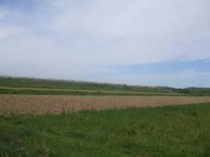 Vand teren 53 Ari-Intravilan-Recea-Maramures