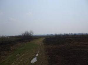 Vand teren 53 Ari-Intravilan-Recea-Maramures