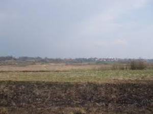 Vand teren 53 Ari-Intravilan-Recea-Maramures