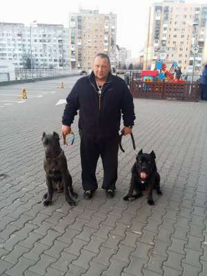 DRESAJ CANIN LA DOMICILIU!PLATA IN RATE!
