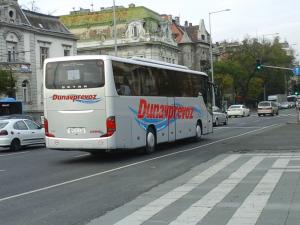 Autocare si microbuze