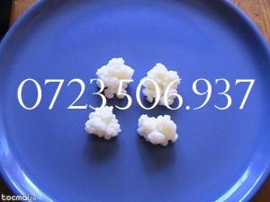CIUPERCA TIBETANA 0721339995 KEFIR DE LAPTE