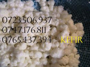 CIUPERCA TIBETANA 0721339995 KEFIR DE LAPTE